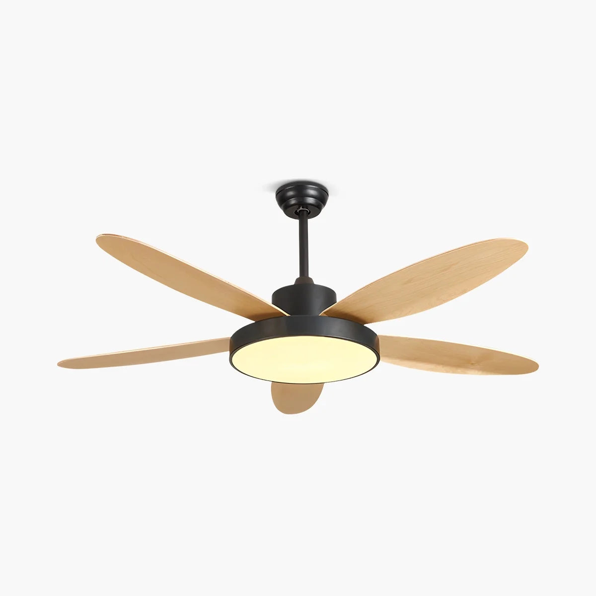 5 Blade Modern Ceiling Fan Lamp for Living Room