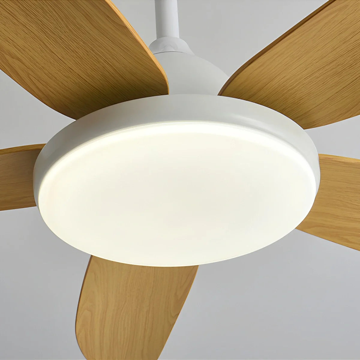 5-flügelige, moderne Deckenventilatorlampe