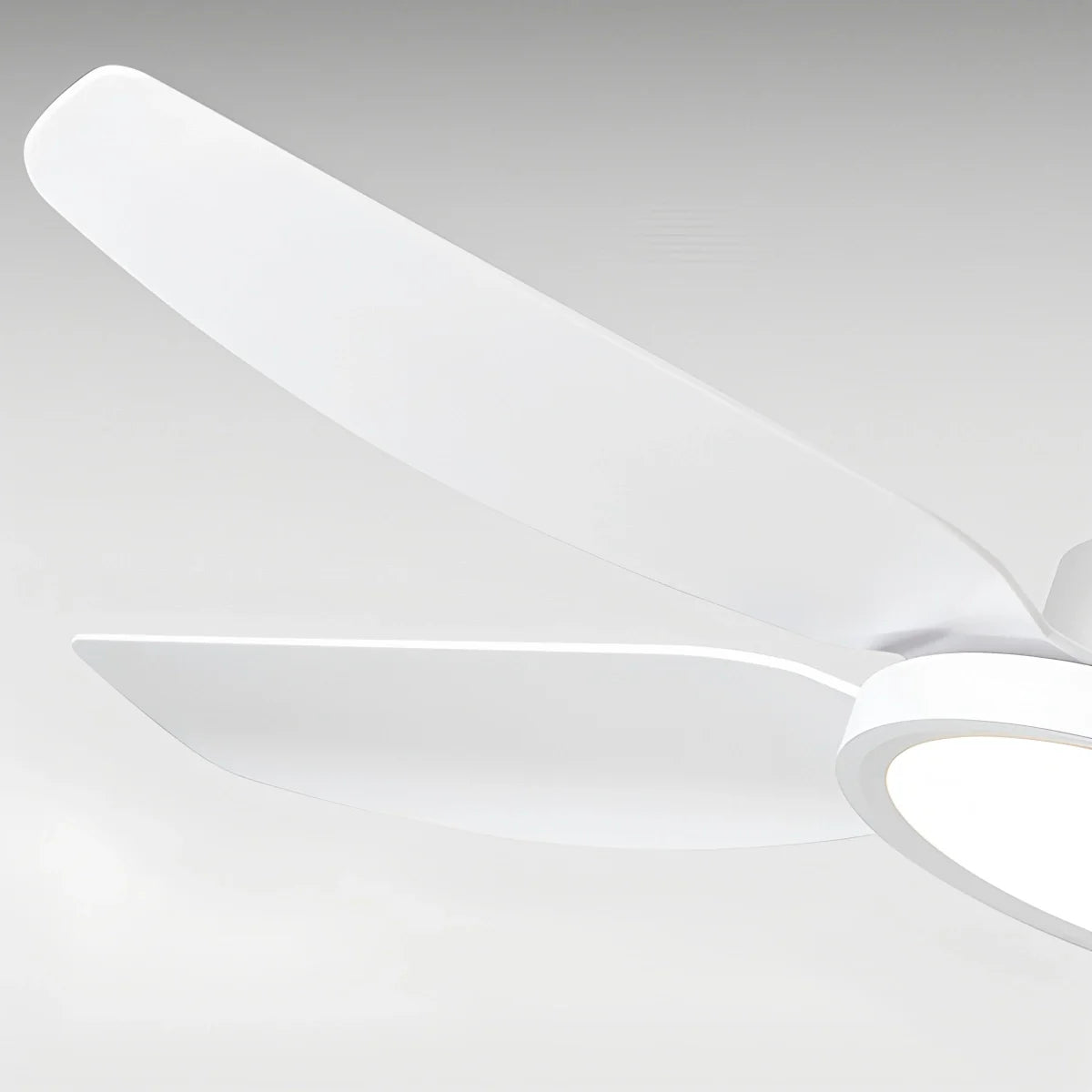 Modern White Ceiling Fans with Lights and Remote